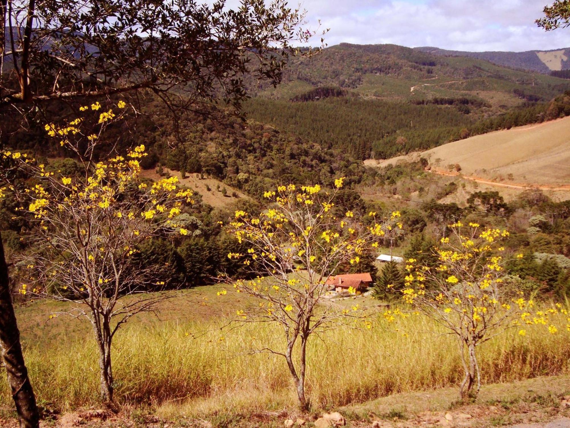 Chales Estrada De Chao Monte Verde  Ngoại thất bức ảnh